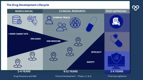 An infographic chart detailing "The Drug Development Lifecycle" across three main phases: Nonclinical (2-4 years, narrowing down from over 10,000 target hits to 250 leads), Clinical Research (6-12 years, resulting in one medicine focusing on safety and efficacy trials), and Post-Approval (2-5 years, focusing on pharmacovigilance). The Pharmatica logo is in the top right corner.